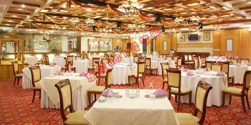 ��Ӫ001������