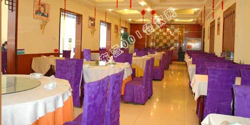 ��Ӫ001������