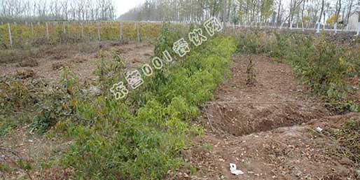 �|�I001��W