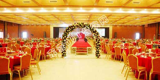 ��Ӫ001������