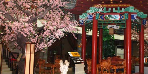 ��Ӫ001������