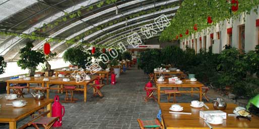 ��Ӫ001������