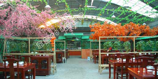 ��Ӫ001������