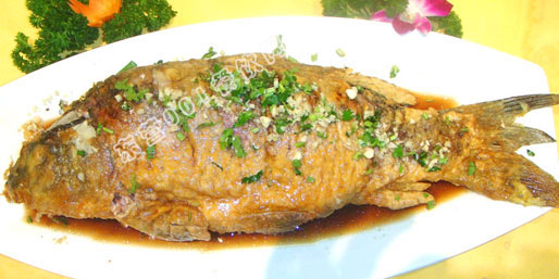 ��Ӫ001������