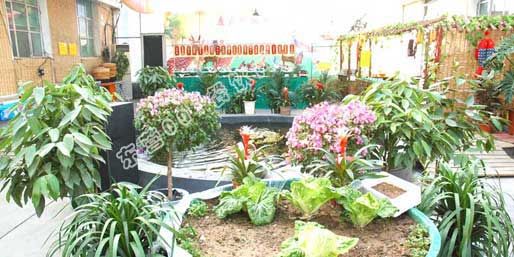 ��Ӫ001������