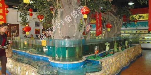 ��Ӫ001������