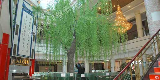 ��Ӫ001������