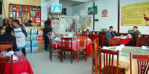 ��Ӫ001������