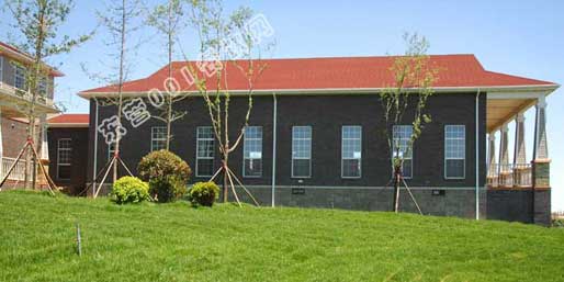 ��Ӫ001������