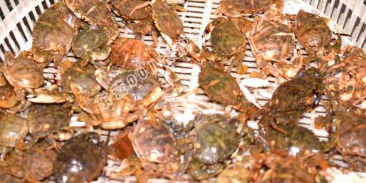 �|�I001��W