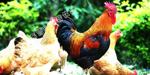 �|�I001��W