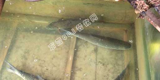 �|�I(y��ng)001��W(w��ng)