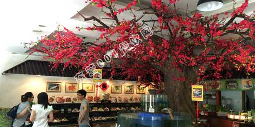 ��Ӫ001������